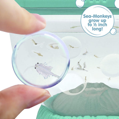 Sea-Monkeys Ocean Volcano - US 1416