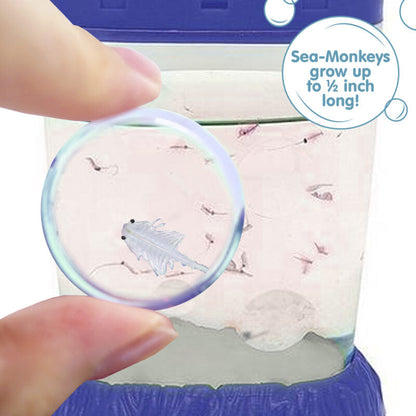Sea-Monkeys Magiquarium - US 6956